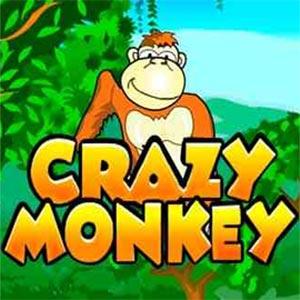 Играть Crazy Monkey